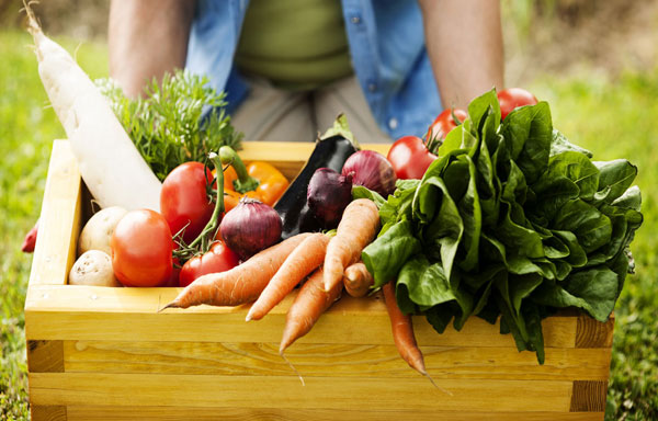 Tuberias en General
